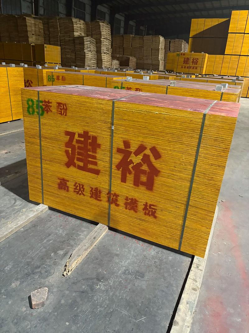 瓷砖选购指南：让你轻松打造理想家居